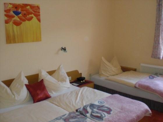 Hotel Bergkristall Schwarzenberg am Bohmerwald Dış mekan fotoğraf